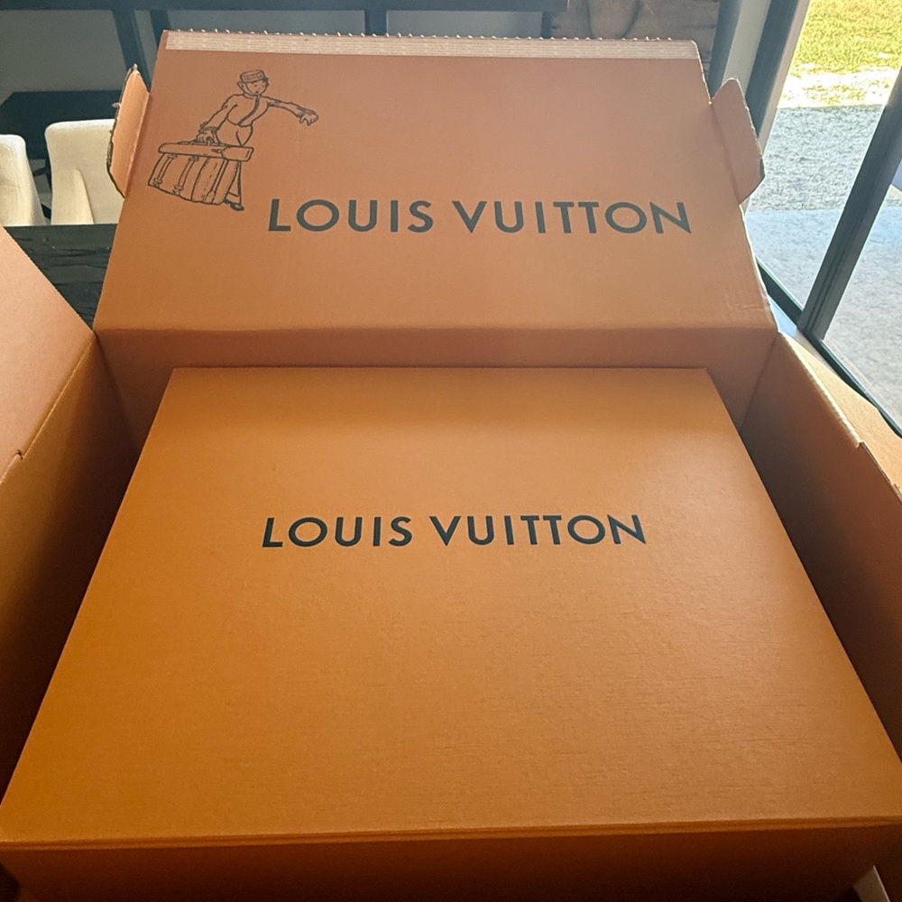 Louis Vuitton Capucines MM in Beige - Picture 15 of 15